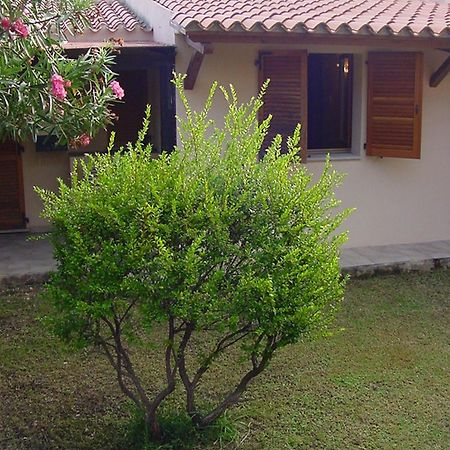 Charming House With Terrace & Garden Loiri Porto San Paolo Villa Monte Petrosu Exterior photo