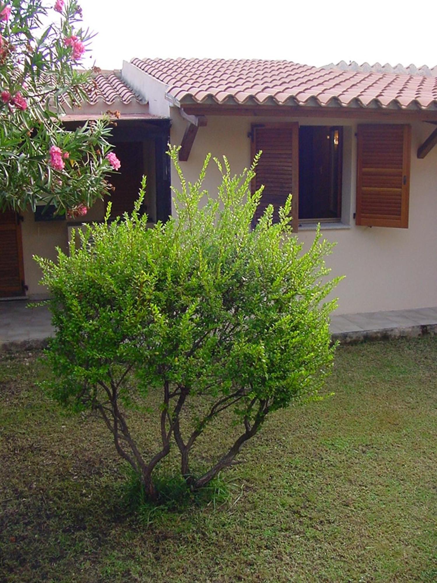 Charming House With Terrace & Garden Loiri Porto San Paolo Villa Monte Petrosu Exterior photo